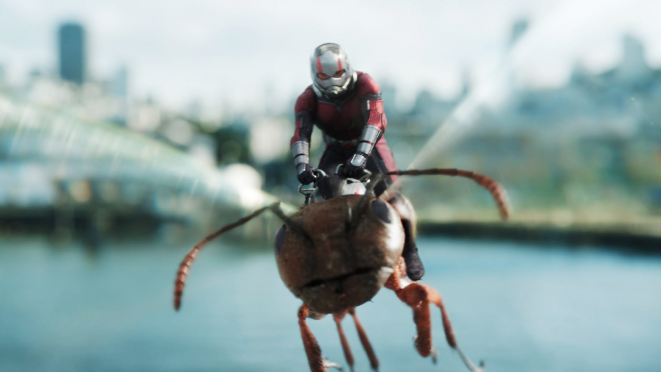 Ant Man 