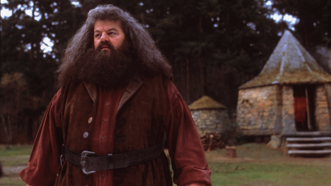 Hagrid 