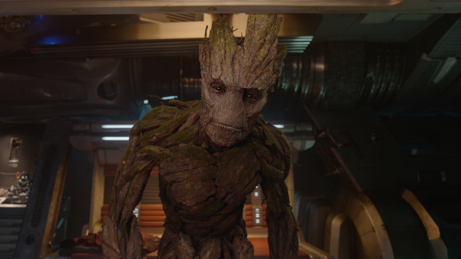 Groot 