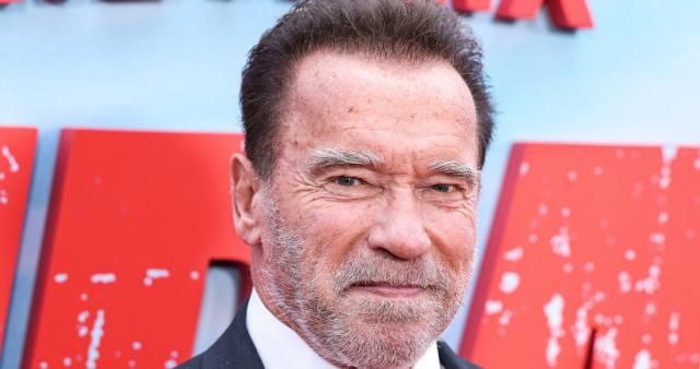 Vytrvalý idol Arnold Schwarzenegger, z rakouské vesnice až na vrchol