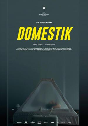 Domestik