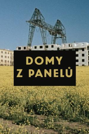 Domy z panelů