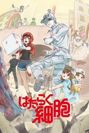 Hataraku saibou