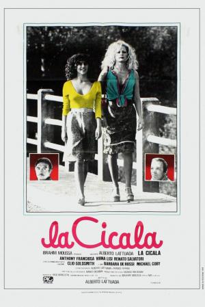 La cicala