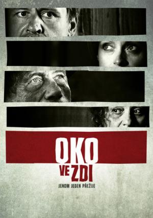 Oko ve zdi