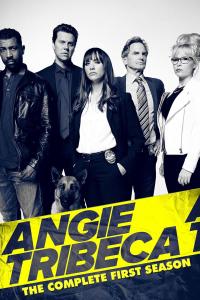 Série 1 seriálu Angie Tribeca