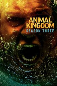 Série 3 seriálu Animal Kingdom