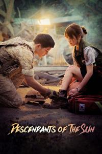 Série 1 seriálu Descendants of the Sun