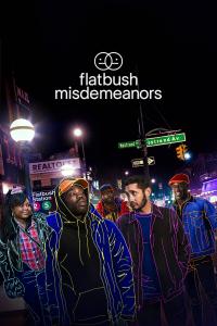 Série 2 seriálu Flatbush Misdemeanors