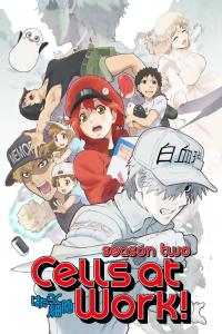 Cells at Work!! seriálu Hataraku saibou