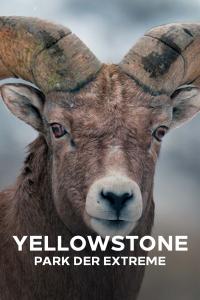 Série 1 seriálu Impozantní Yellowstone