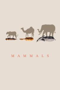 Series 1 seriálu Mammals