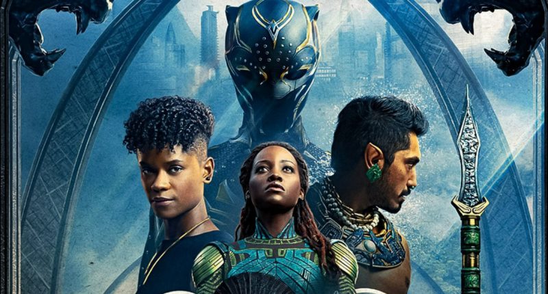 druhy-black-panther-wakanda-necht-zije-j.jpg