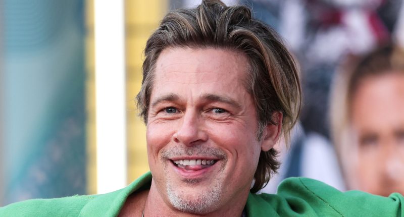 hvezda-holllywoodu-brad-pitt-hercova-cesta-k.jpg