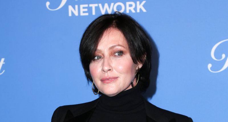 shannen-doherty-hvezda-serialu-beverly-hills.jpg