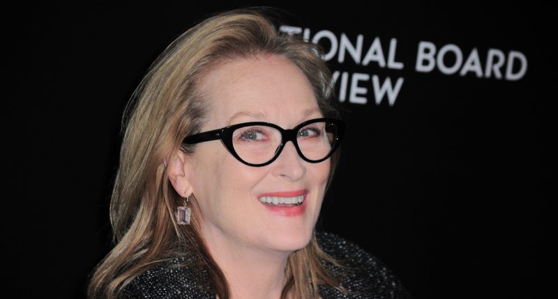 v-meryl-streep-se-potkava-elegantni-herecka-s.jpg